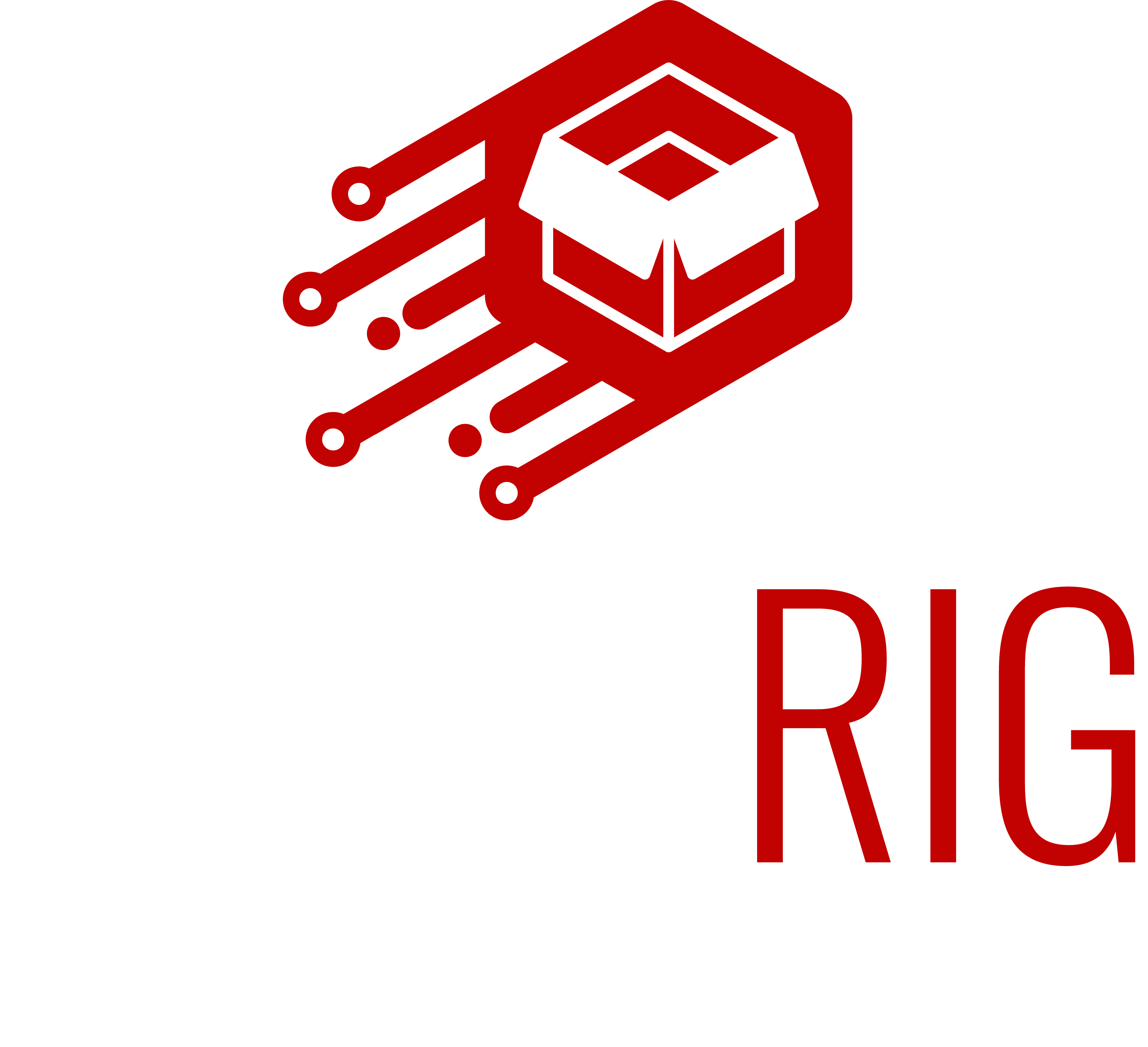 techrig logo white 1